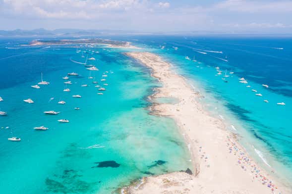 Catamaran Excursion