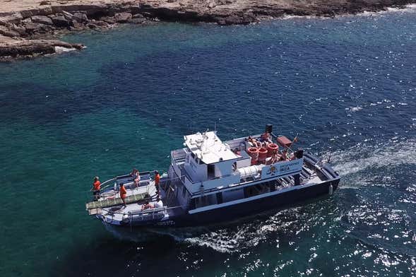Es Vedra & Formentera Boat Trip
