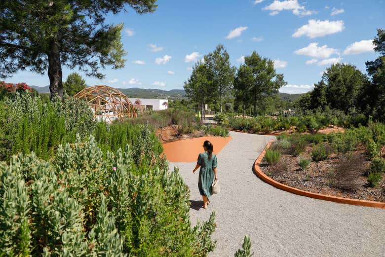 Welcome to BIBO PARK!