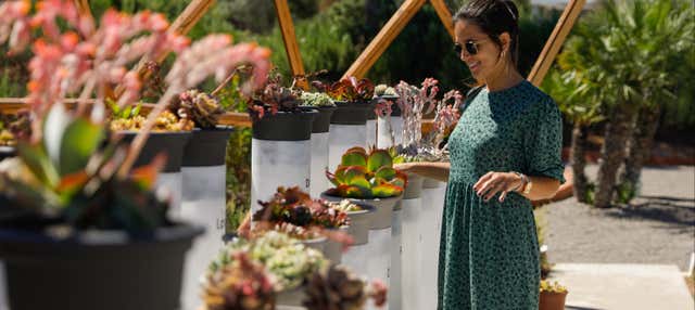 Ibiza Biotechnological Botanical Garden Tour